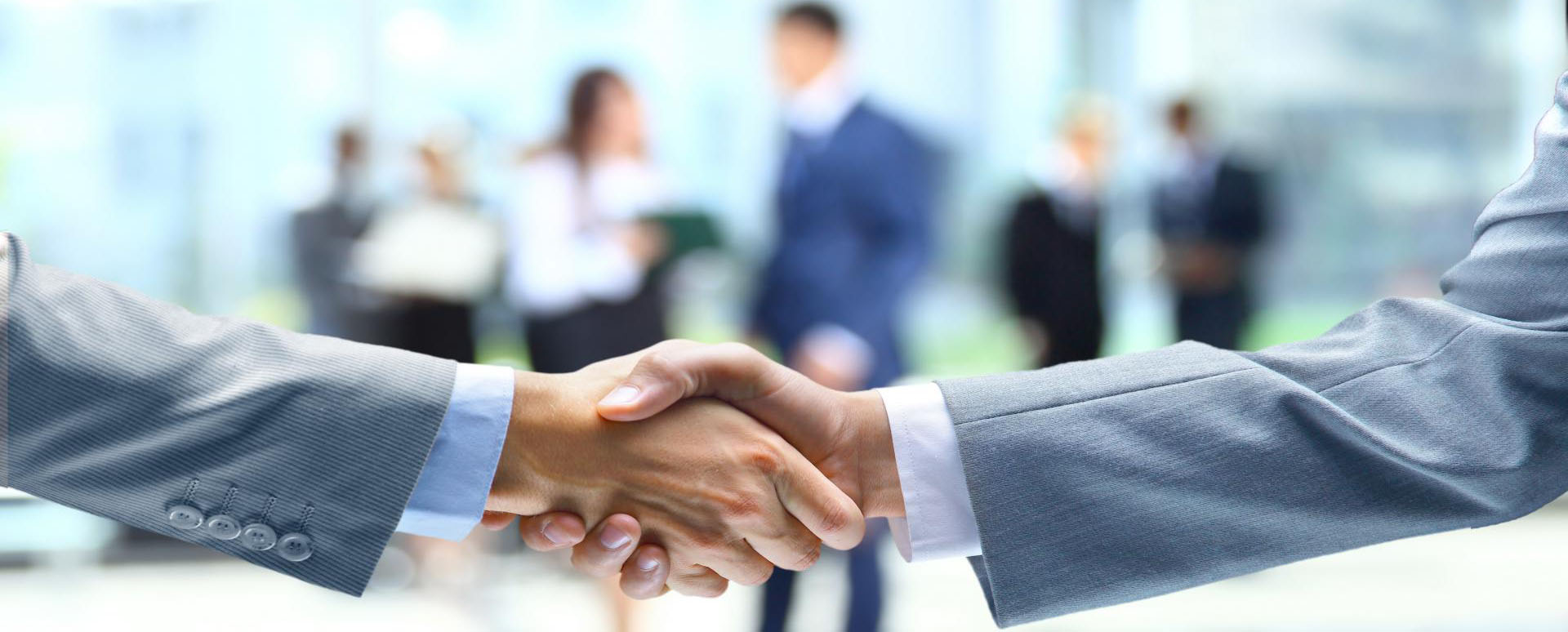 Knjigovodstvena agencija Svezor Inđija